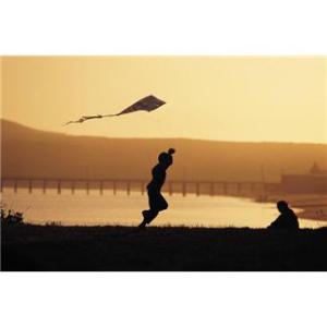 love and marriage (14)