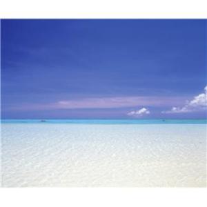 love and marriage (35)